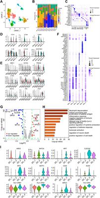 Mapping the tumor microenvironment in clear cell renal carcinoma by single-cell transcriptome analysis